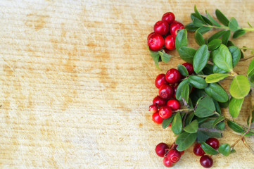 lingonberry berries with leaves