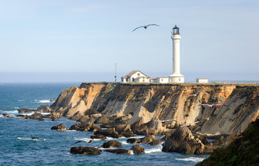 Point Arena Light