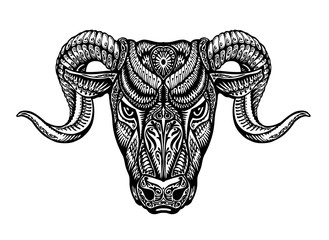 Hand drawn head ram. Ethnic patterns. Bull or animal icon. Vector illustration