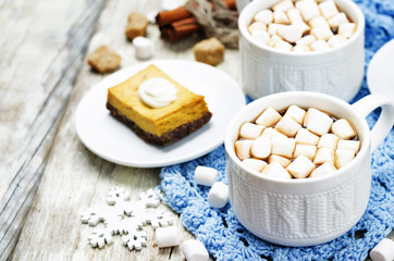 hot cocoa with mini marshmallows