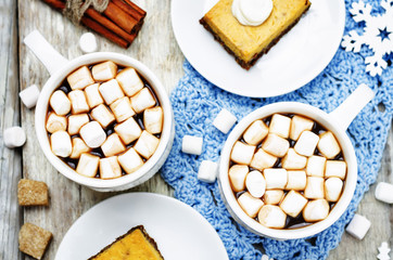 hot cocoa with mini marshmallows