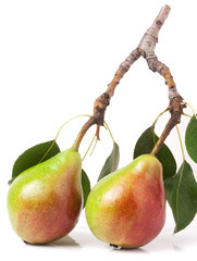 Two red pears with leaves isolated on white background