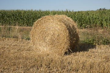 Normandy France - A round bale of straw in a field at Alencon France