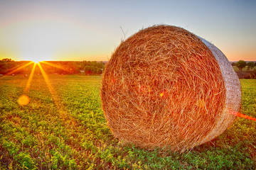 Straw bales in the sunset in the field