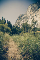 Vintage style and toned image of Yosemite National Park at Sentinel Dome