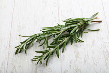 Rosemary plant