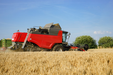 grain harvest - red harvester and grain cart