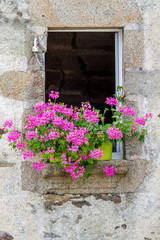 Fototapeta na wymiar pretty pink flowers in old windowsill
