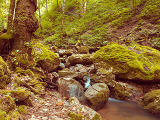 Кавказские горы