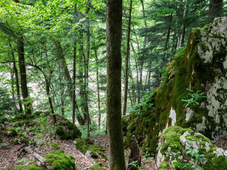 Fototapeta premium Кавказские горы