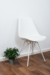 White stylish designer chair and green home plant near the wall