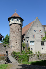 Diebsturm in Michelstadt