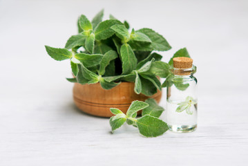 Spa and wellness setting with mint, sea salt, oil essence 