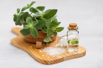 Spa and wellness setting with mint, sea salt, oil essence 