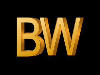 BW Initial Logo for your startup venture
