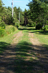 Rural Landscape