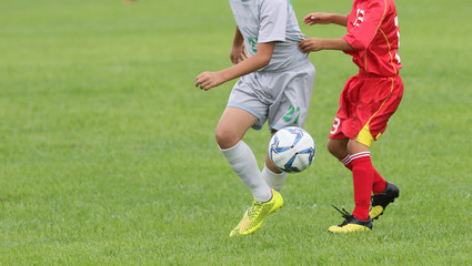 Fototapeta premium サッカー フットボール