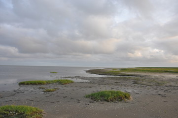 Nordsee Insel Strand Küste Dünen Rømø Sylt