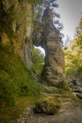 Fototapeta premium Et au fond des rochers le long de La Vis dans l'herault