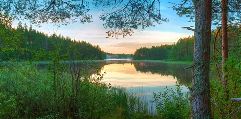 Papier Peint photo Lavable Lac / étang Panoramic beautiful landscape of the lake surrounded by forest in the night.