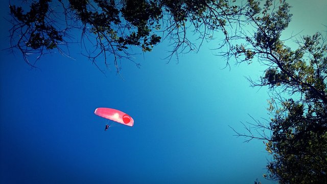 Fly