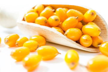 Sanddorn Beeren