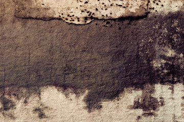 Mold Damage