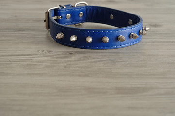 A blue dog collar decorated with spikes
