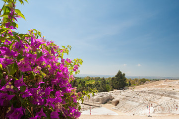 Fototapeta premium The famous greek theater of Syracuse, Sicily, with a flowered bougainvillea plant in the foreground