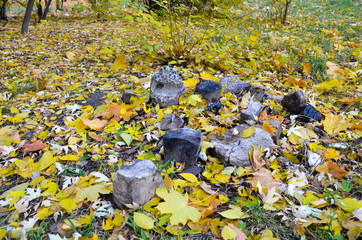Colorful autumn leaves and stones in the park