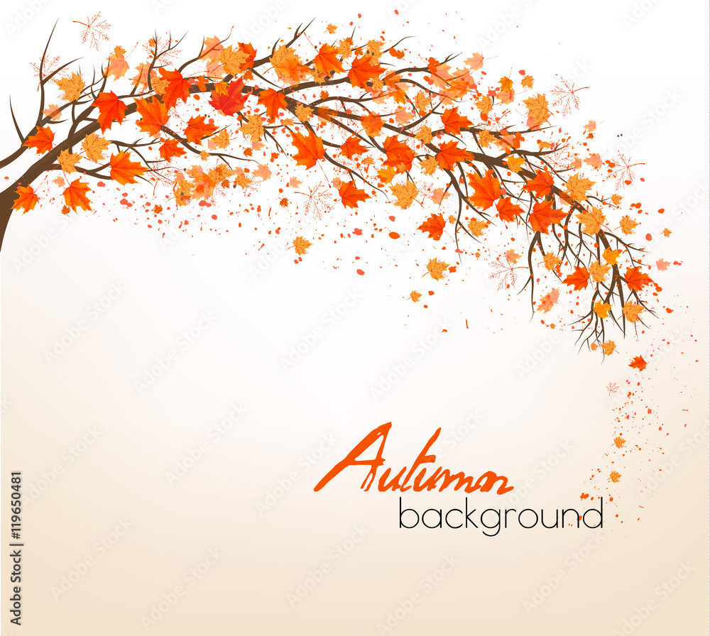 Poster beautiful autumn nature background with trees. vector.