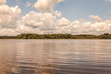 Blue Sky With White Clouds, Amazonian Rainforest