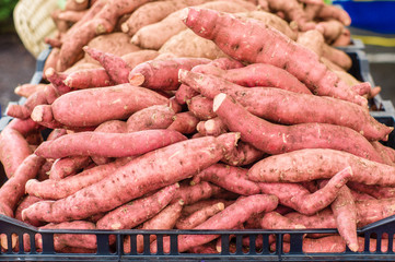 Fresh sweet potatoes at the market