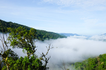 Mountain and Beautiful fog at Chong yen, Kamphaeng Phet, Thailand