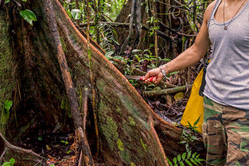 Obraz premium Deforestation Environmental Problem, Amazonia Rainforest