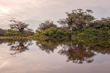 View Over The Cuyabeno River