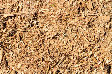 Sawdust of wood on floor with texture