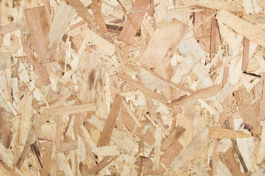 Sheet of plywood with fragments