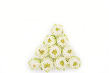 Green Lotus Spa on White Wooden Background, Flat Lay Style with Free Text Space