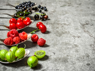Different berries spoons. On stone background.