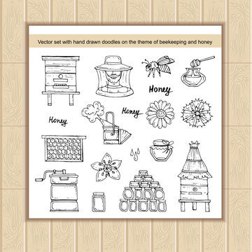 Vector set with hand drawn isolated doodles on the theme of beekeeping and honey