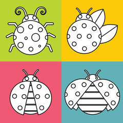 White ladybugs with stroke on color background