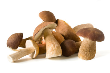 handful mushrooms boletus reticulatus isolated on white background