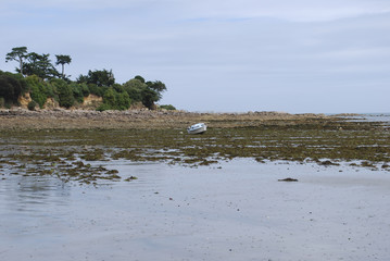 Beach after ocean low tide. Boat and green algae on the sand. Landscape.
