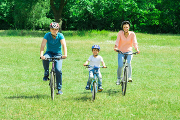 Boy With His Parent Riding Bicycle