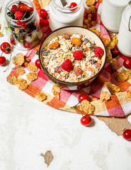 Healthy food. Muesli with forest wild berries.