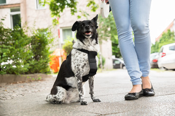 Woman Standing With Her Dog