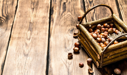 Hazelnuts in a basket with dry leaves.