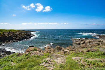 牧崎風の公園　角島