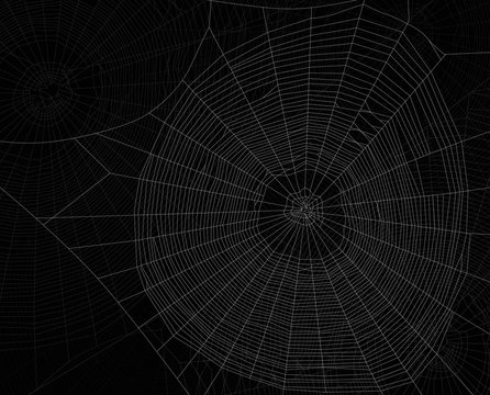 background from dark gray dense webs